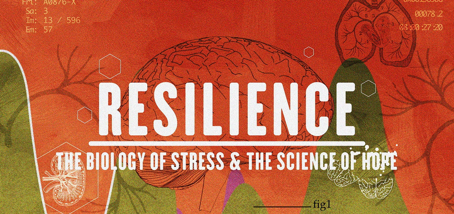 Host a Resilience Screening + Facilitated Discussion with Your Organization!